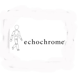 Echochrome